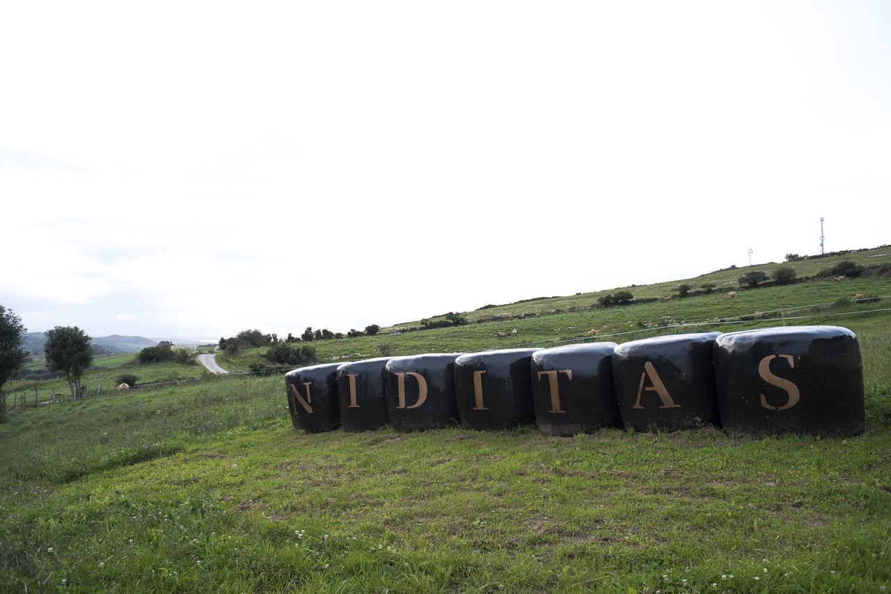 Suites Niditas Yuso Exteriör bild
